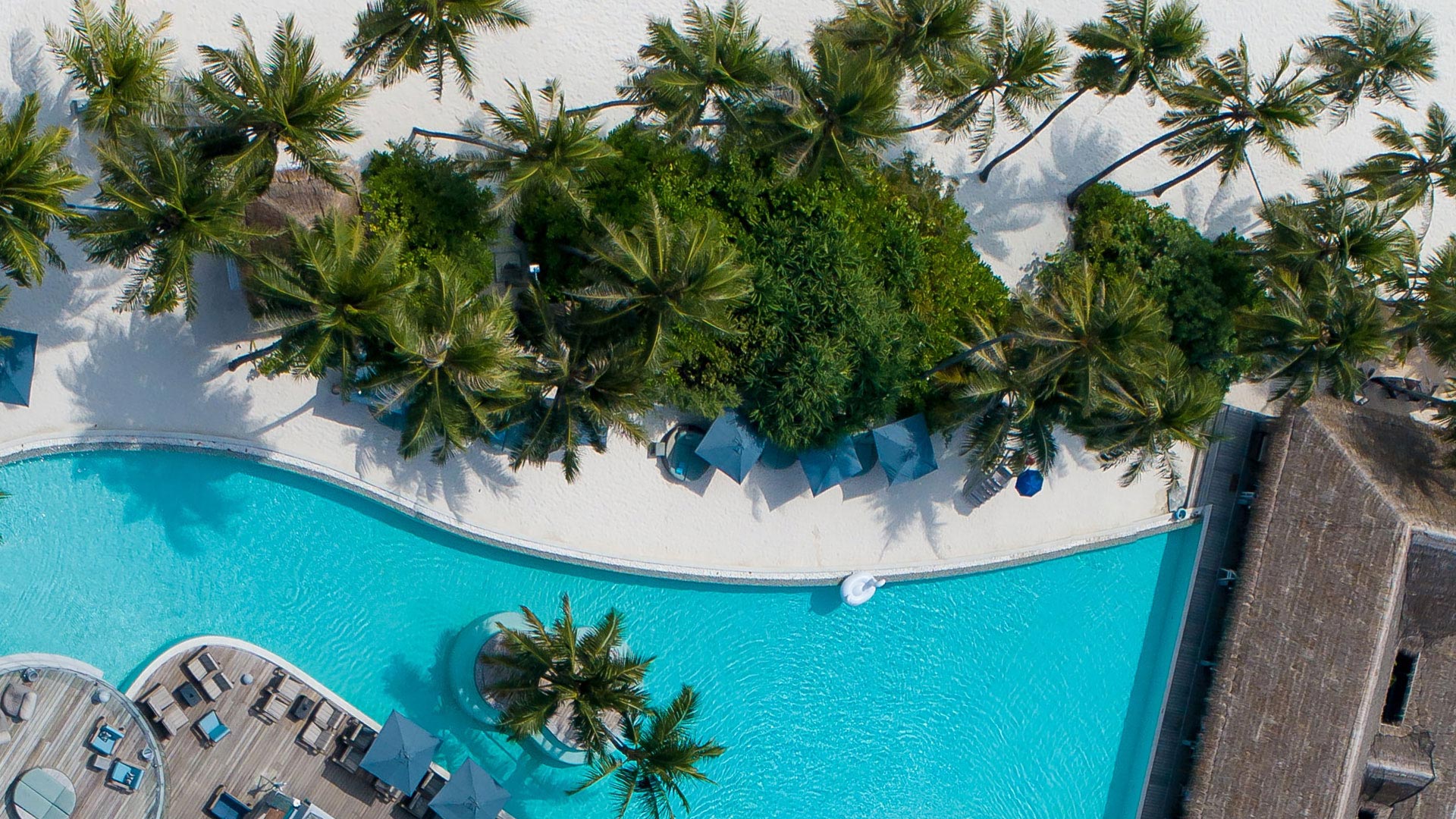Travel and Leisure overhead hero shot of water and palm trees